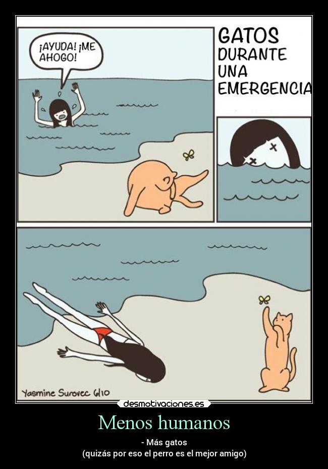 Menos humanos - - Más gatos
(quizás por eso el perro es el mejor amigo)
