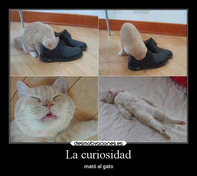 La curiosidad -