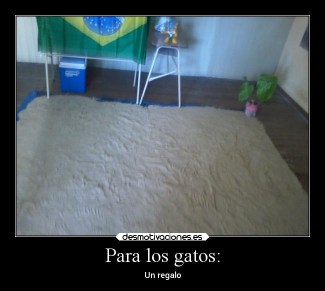 Para los gatos: - Un regalo