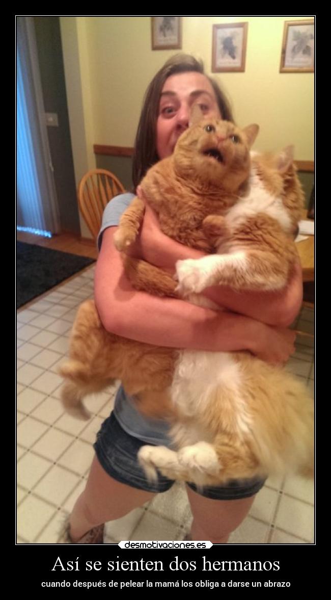 Así se sienten dos hermanos -