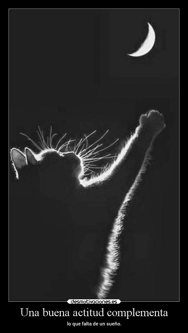 Una buena actitud complementa - lo que falta de un sueño.
