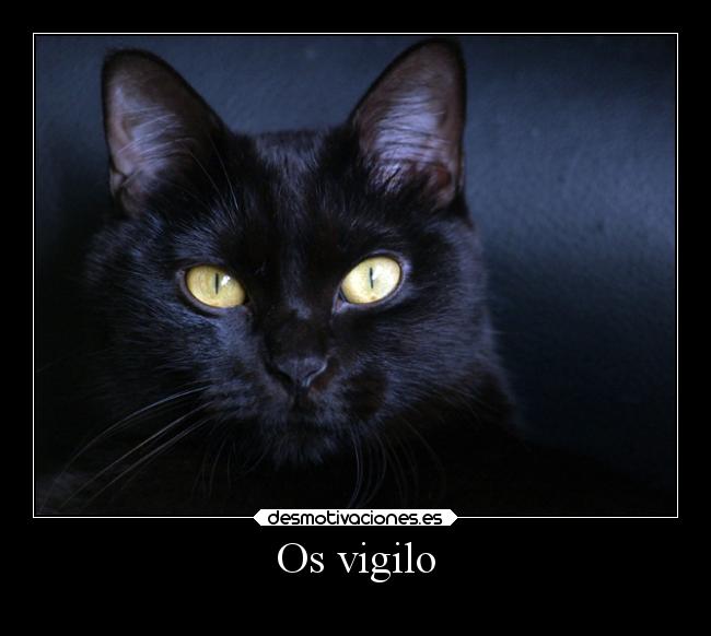 Os vigilo - 