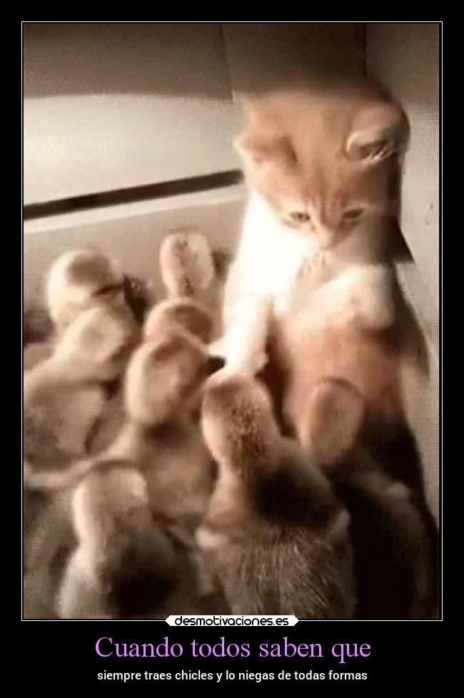 carteles gatos videojuegos verano desmotivaciones