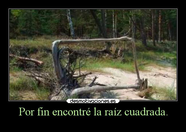 Por fin encontré la raíz cuadrada. -