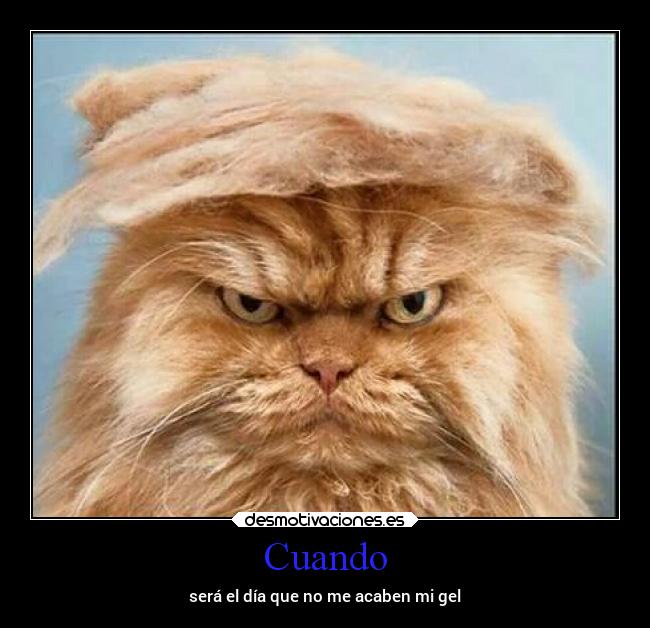 Cuando - será el día que no me acaben mi gel