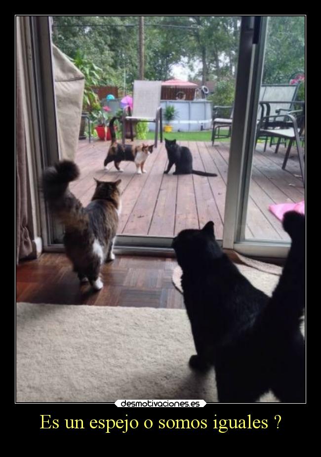 Es un espejo o somos iguales ? -