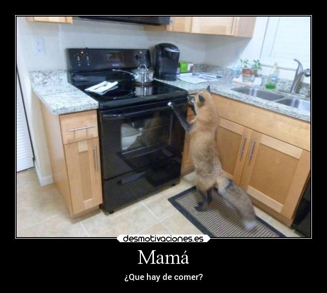 Mamá - ¿Que hay de comer?