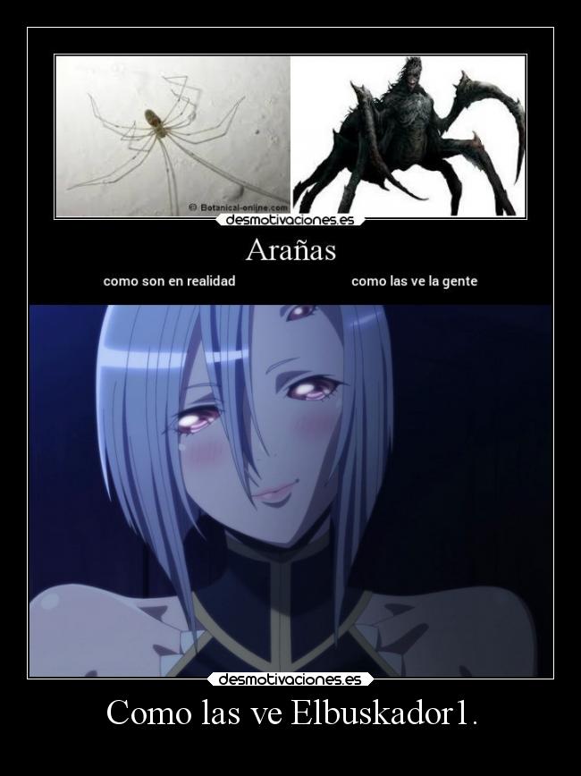 Como las ve Elbuskador1. -