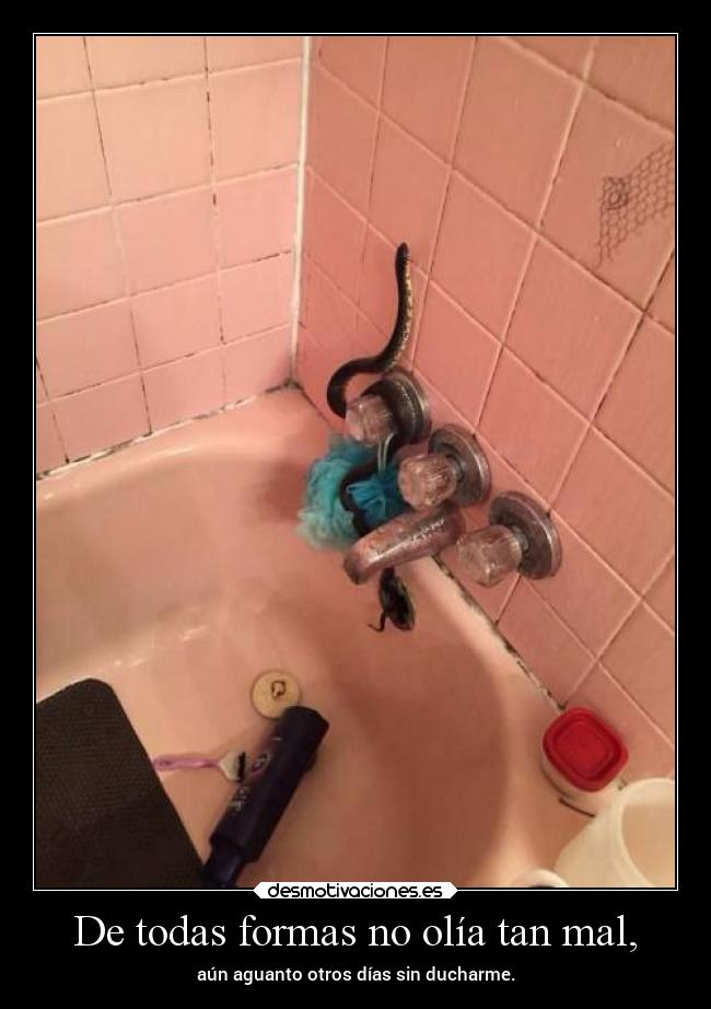 De todas formas no olía tan mal, - aún aguanto otros días sin ducharme.