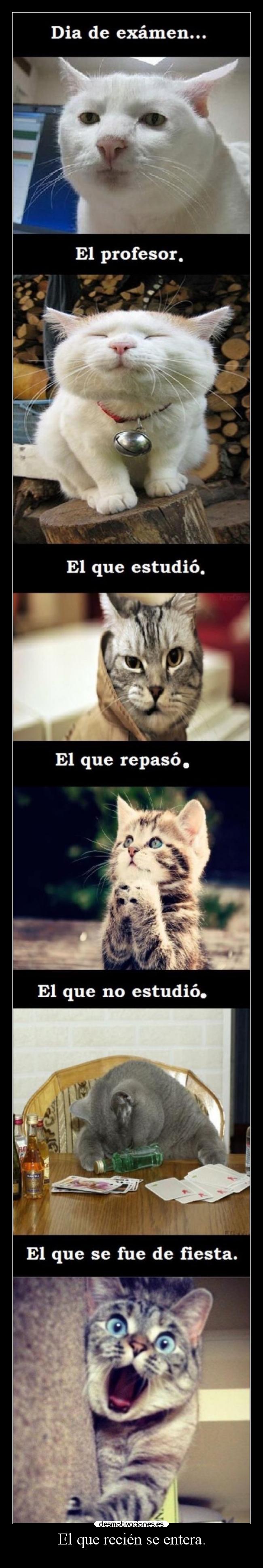 El que recién se entera. - 