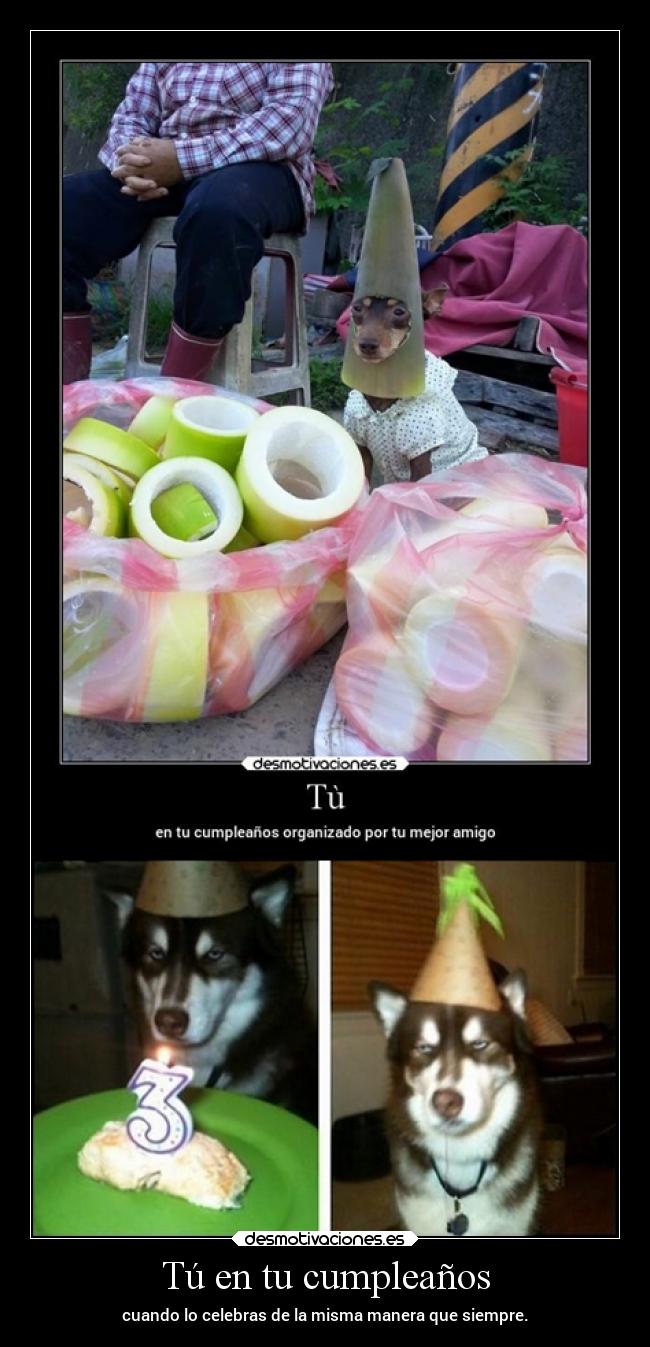carteles humor graciosas cumpleanos organizar ws86 celebrar desmofunny clanpatosos rilacs desmotivaciones