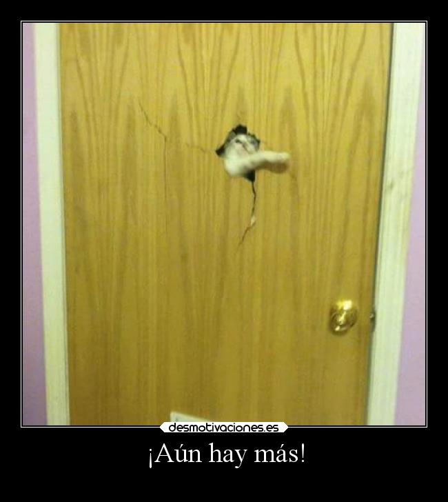 carteles humor graciosas simpsons gatos desmotivaciones