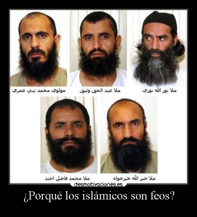 carteles humor islam feos desmotivaciones