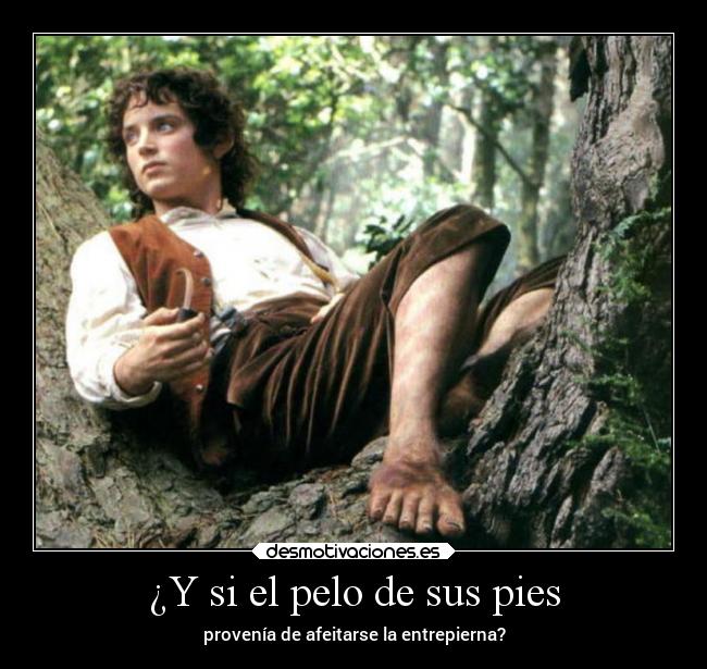 carteles humor slipkdemon clandesplazado afeitarse pubis hobbit entrepierna retorica pregunta clanhoygan desmotivaciones