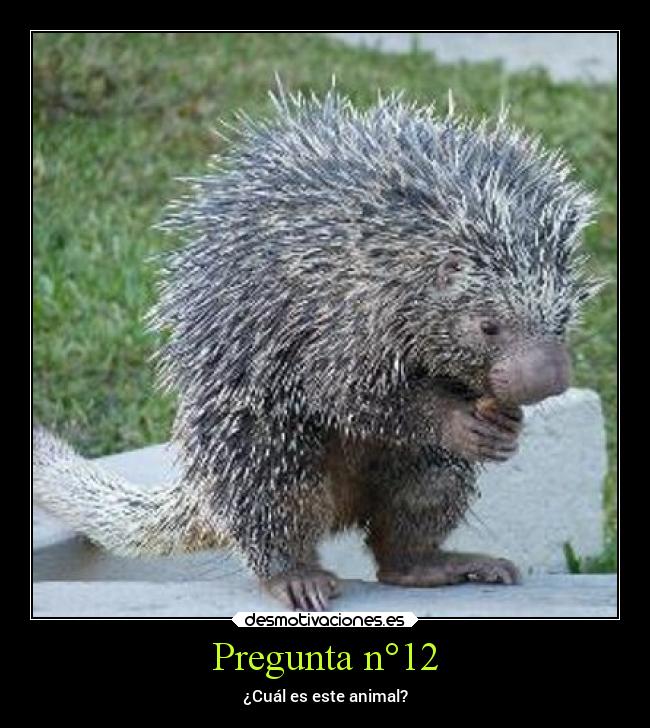 carteles ideas cogeellanzallamasyconquistaelayuntamiento desmoconcursito pregunta12 desmotivaciones