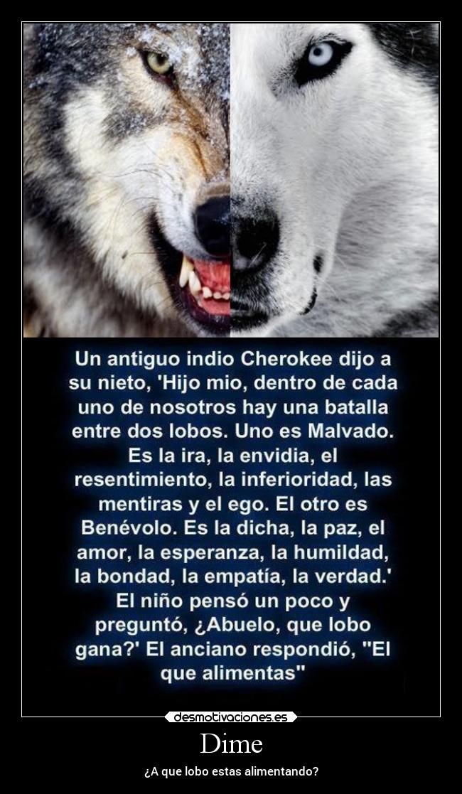 Dime - ¿A que lobo estas alimentando?