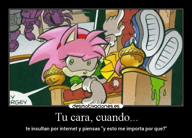 Tu cara, cuando... - te insultan por internet y piensas y esto me importa por que?