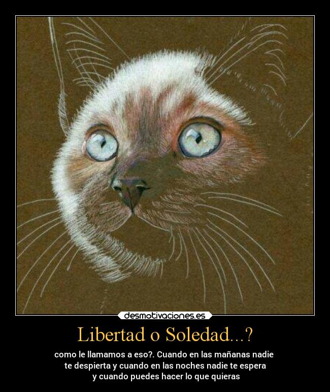 carteles libertad soledad libertad desmotivaciones