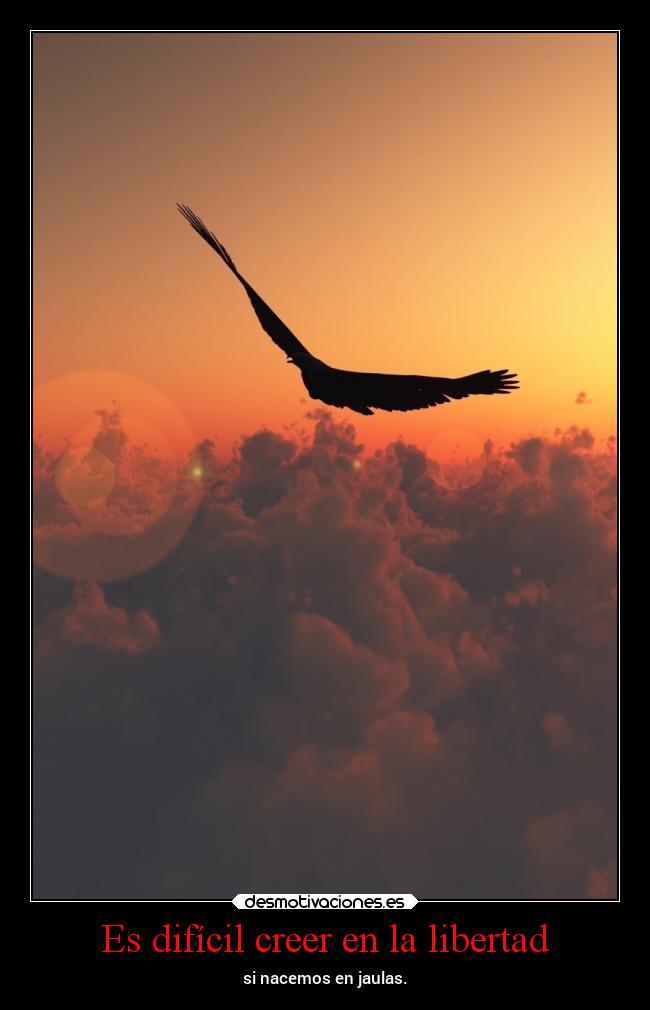 Es difícil creer en la libertad - si nacemos en jaulas.