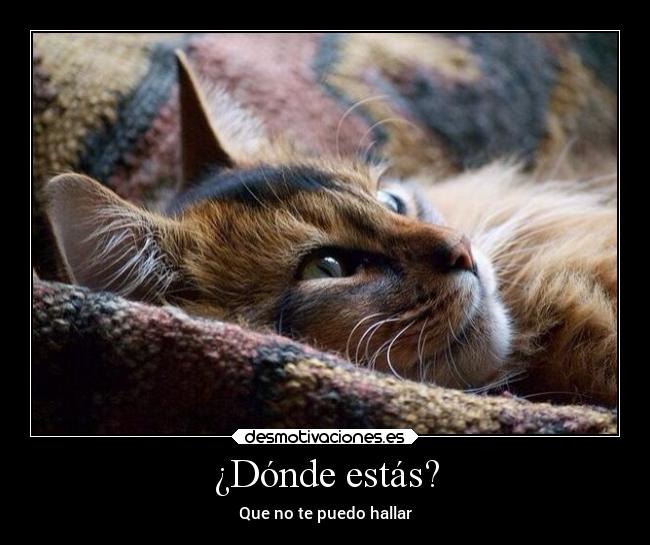 ¿Dónde estás? - Que no te puedo hallar