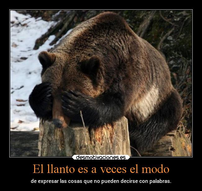 carteles llorar sentimientos desmotivaciones