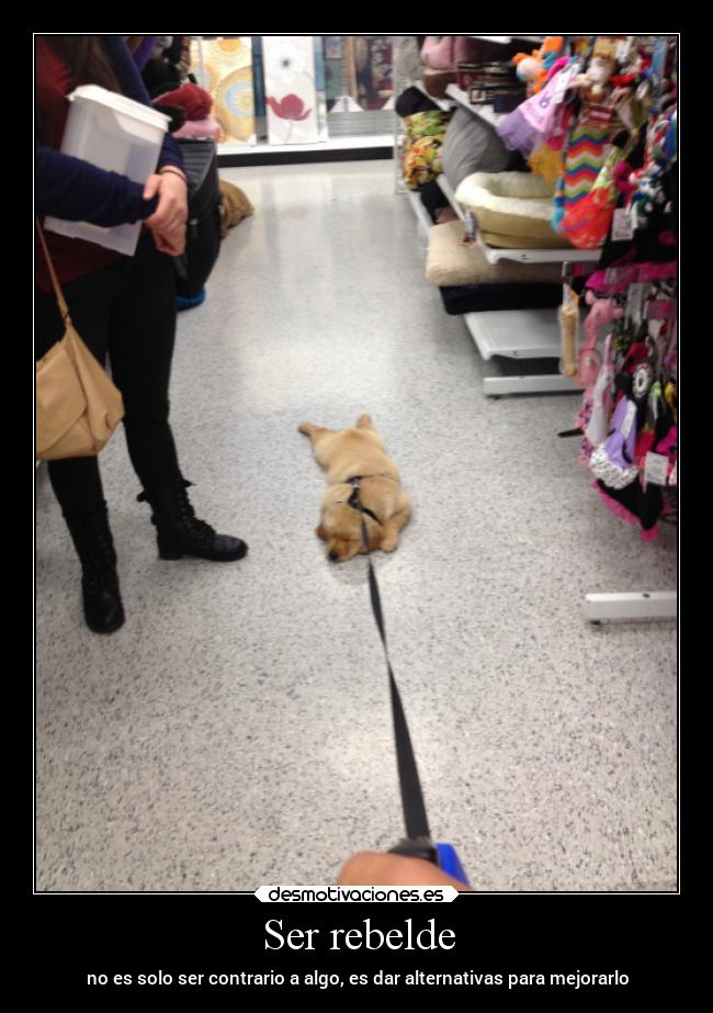 Ser rebelde - no es solo ser contrario a algo, es dar alternativas para mejorarlo