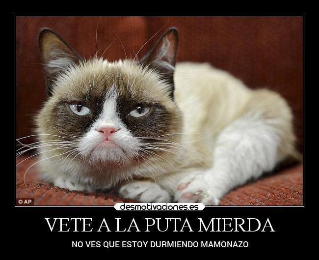 VETE A LA PUTA MIERDA -