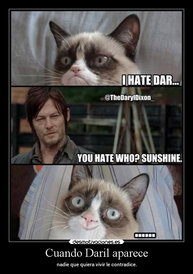 Cuando Daril aparece -