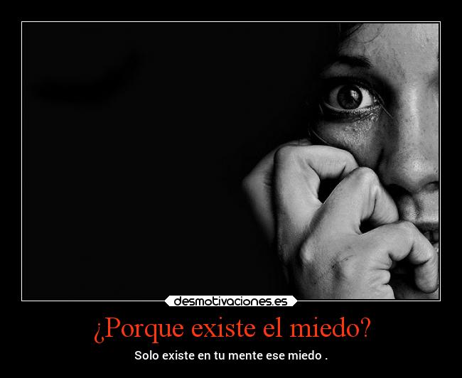 carteles miedo miedo desmotivaciones