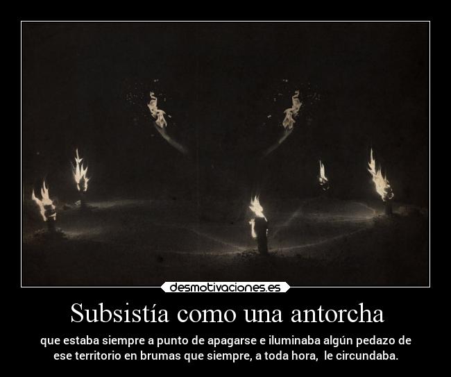 carteles muerte amm pablom thecomtess desmotivaciones