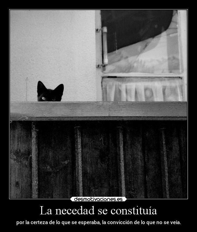 La necedad se constituía -