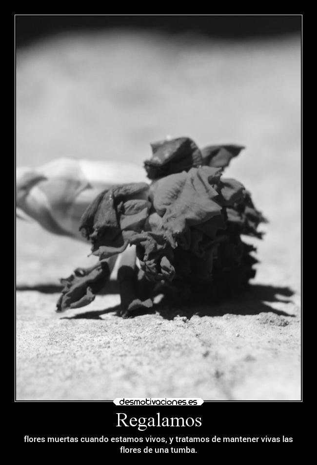Regalamos - flores muertas cuando estamos vivos, y tratamos de mantener vivas las
flores de una tumba.