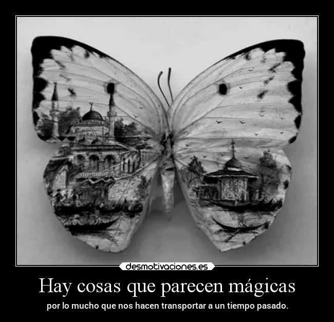 Hay cosas que parecen mágicas - 