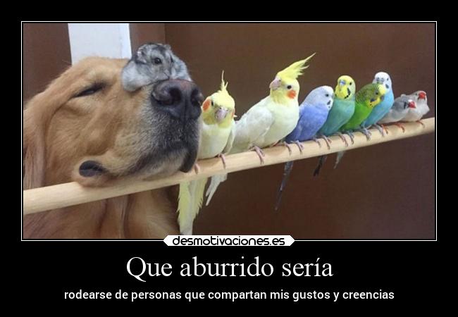 Que aburrido sería -