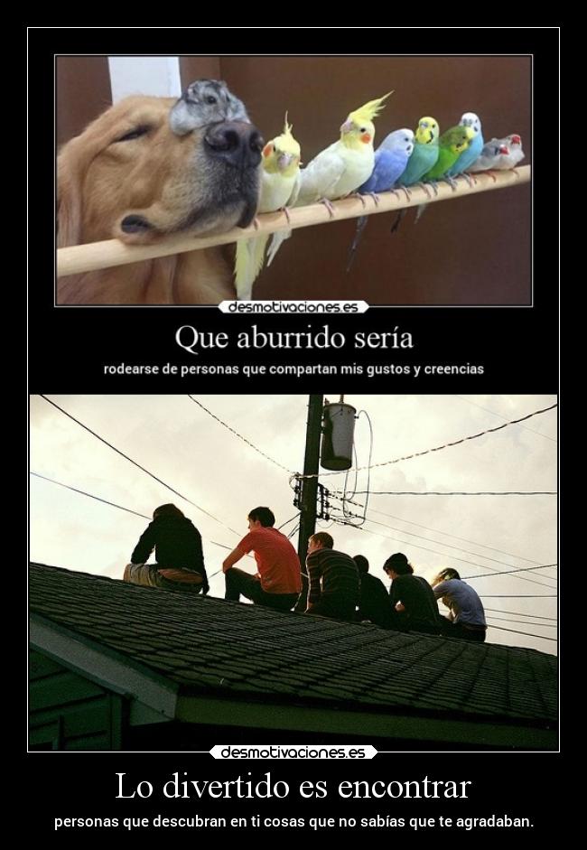 Lo divertido es encontrar -