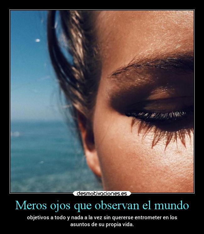 Meros ojos que observan el mundo - objetivos a todo y nada a la vez sin quererse entrometer en los
asuntos de su propia vida.