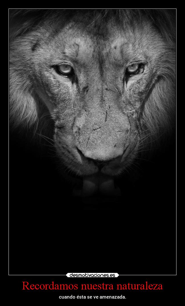 Recordamos nuestra naturaleza - cuando ésta se ve amenazada.