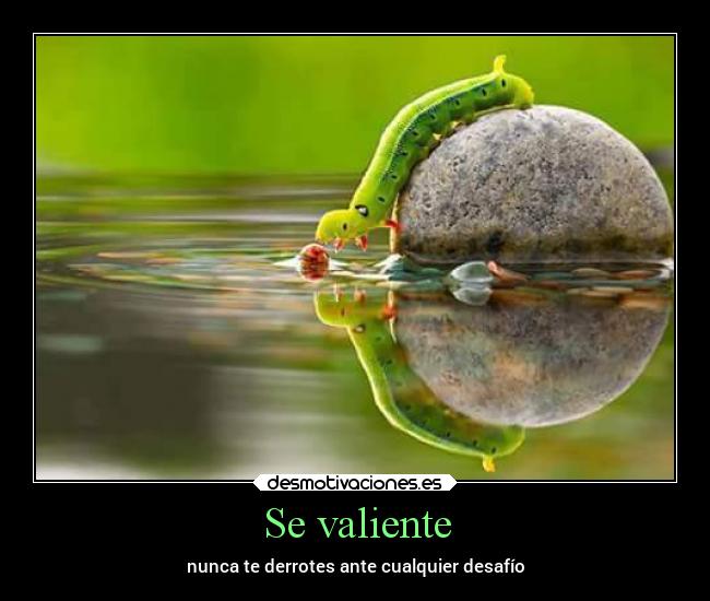 Se valiente - nunca te derrotes ante cualquier desafío