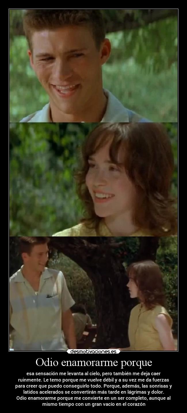 Odio enamorarme porque - esa sensación me levanta al cielo, pero también me deja caer
ruinmente. Le temo porque me vuelve débil y a su vez me da fuerzas
para creer que puedo conseguirlo todo. Porque, además, las sonrisas y
latidos acelerados se convertirán más tarde en lágrimas y dolor.
Odio enamorarme porque me convierte en un ser completo, aunque al
mismo tiempo con un gran vacío en el corazón