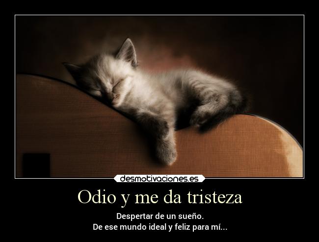 Odio y me da tristeza - Despertar de un sueño.
De ese mundo ideal y feliz para mí...