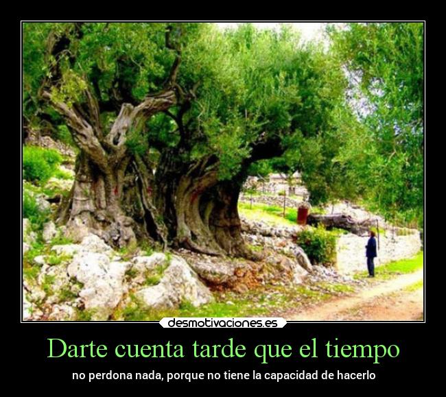 Darte cuenta tarde que el tiempo - no perdona nada, porque no tiene la capacidad de hacerlo
