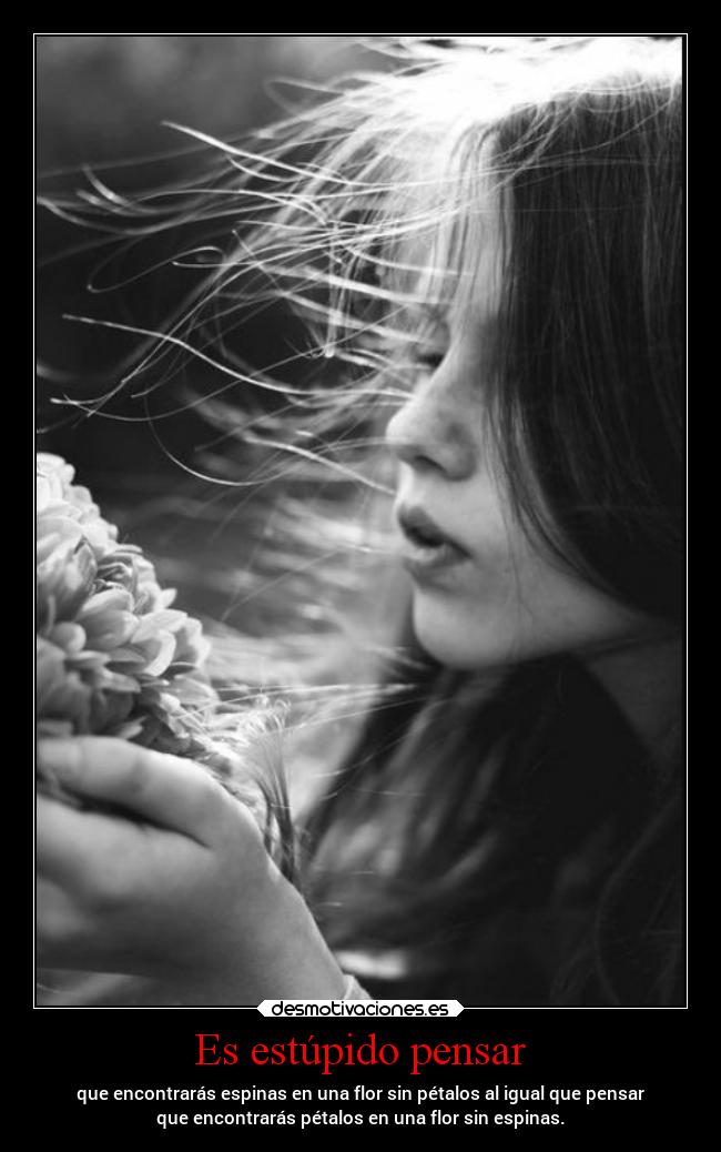 Es estúpido pensar - que encontrarás espinas en una flor sin pétalos al igual que pensar
que encontrarás pétalos en una flor sin espinas.