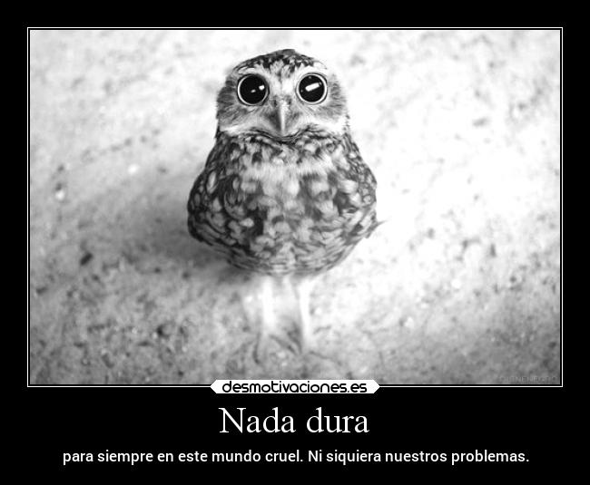 Nada dura -