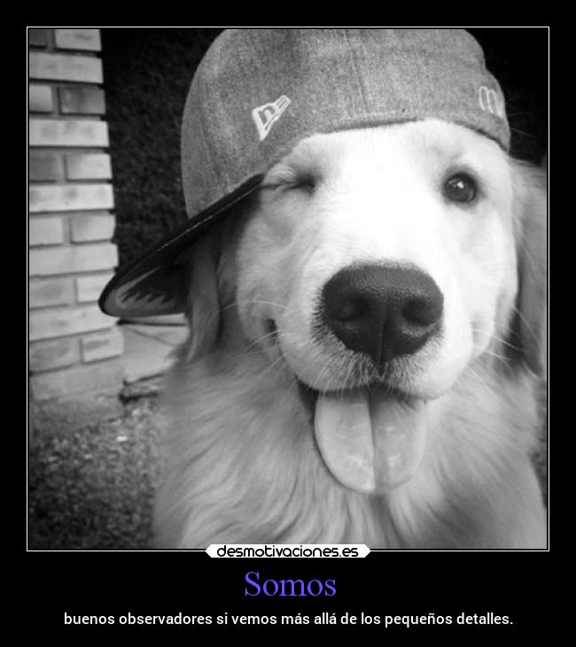 Somos - buenos observadores si vemos más allá de los pequeños detalles.