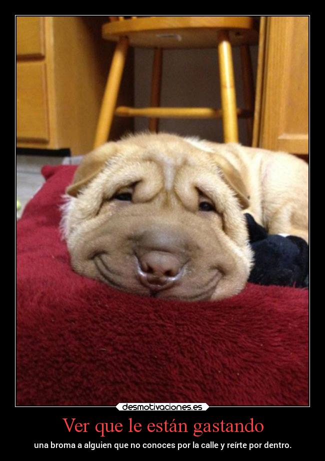 Ver que le están gastando - 