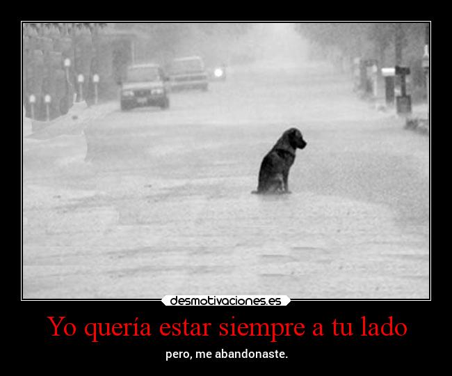 Yo quería estar siempre a tu lado - pero, me abandonaste.