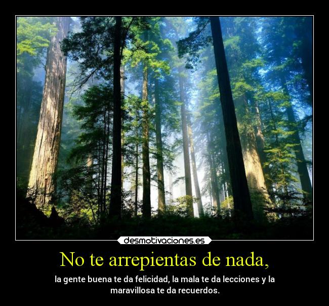 No te arrepientas de nada, - la gente buena te da felicidad, la mala te da lecciones y la
maravillosa te da recuerdos.