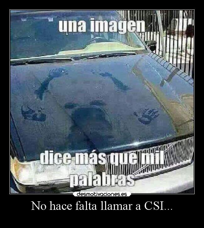 No hace falta llamar a CSI... -