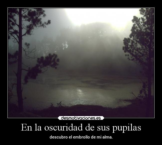 En la oscuridad de sus pupilas - descubro el embrollo de mi alma.