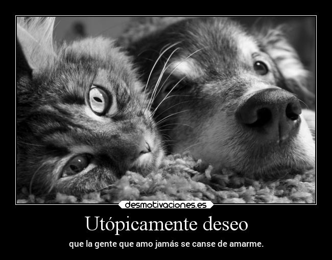 Utópicamente deseo - que la gente que amo jamás se canse de amarme.